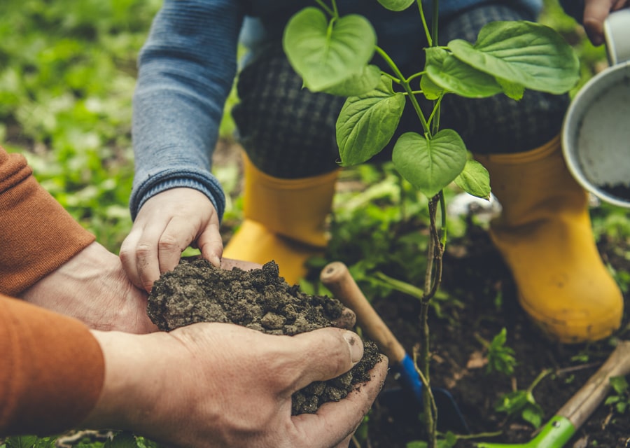 I'm not good at anything mindset being destroyed by a loving parent gardening with his child